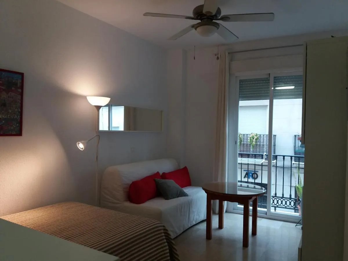 Estudio En Pleno Centro De Malaga Apartment